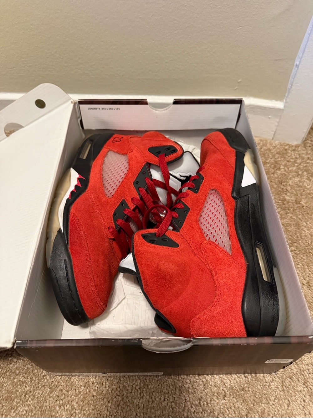 Jordan 5 Raging Bull - Picture 3 of 6